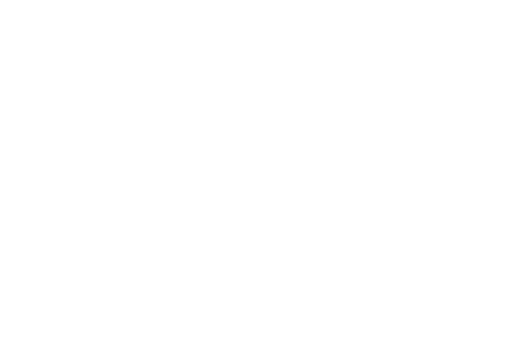 Logo Carl Zeiss Stiftung